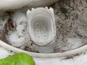 Tankschwimmer 8W0919087J Audi A5 (F53, F5P) 2.0 TFSI