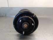 Sto?d?mpfer Rechts Vorne YC1518045SD Ford Transit Ch.Cab/Pick-up 2.4 TDdi 16V (H9FA)