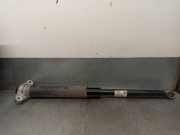 Stoßdämpfer Rechts Hinten JX6118080EAE Ford Focus 4 Schrägheck 1.5 EcoBlue 120 (ZTDA)