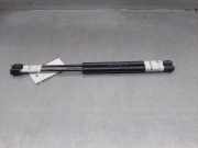 Gasdruckfedern Set Hinten 9639853880 Citroën C3 (FC/FL/FT) Schrägheck 5-drs 1.4 (TU3JP(KFV))