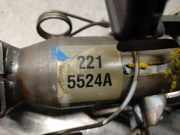 Hintertür 901003145R Dacia II 0.9 TCE CAT