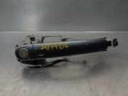 Kraftstoff-Injector 038130202A Seat Toledo (1L2) Limousine 1.9 D CL,GL,GLX (1Y)