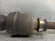 Ausgleichbehälter - 51956876 Fiat Panda/Pandina (312) Schrägheck 1.0 Mild Hybrid (46341162)