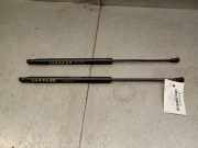 Gasdruckfeder Set Vorne 811613D001 Hyundai Sonata Limousine 2.0i 16V (G4JP)