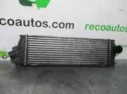 Ladeluftkühler 8200411160C Renault II Furgoneta (FL) 2.0 dCi 115 (FL01, FL0U)