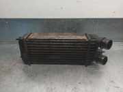 LadeluftkÃ¼hler 1498987080 Fiat Scudo (270) Van 1.6 D Multijet (DV6UTED4(9HU))