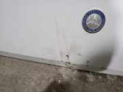 Motorhaube 5492379 Mercedes-Benz MB SERIE:100 D CAJA ABIERTA (W631) *