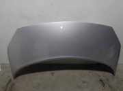 Motorhaube 651001097R Renault SCENIC II 2.0