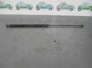 Gasdruckfeder Set Vorne Peugeot 306 BERLINA 3/4/5 PUERTAS (S2) XS