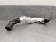 Schlauch 9637697680 Citroën Xantia (X1/2) Schrägheck 2.0 HDi 90 (DW10TD(RHY))