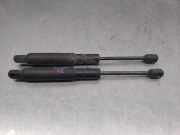 Gasdruckfeder Set Vorne A2218800329 Mercedes-Benz S (W221) Limousine 3.0 S-320 CDI 24V 4-Matic (OM642.930)