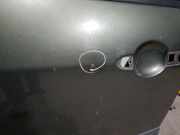 T?r Links Vorne 801019830R Renault Modus/Grand Modus (JP) Gro?raumlimousine 1.5 dCi 80 (K9K-750)