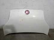 Motorhaube Fiat Fiorino (225) Van 1.3 JTD 16V Multijet (199.A.9000)