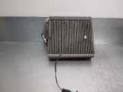 Stoßdämpfer Links Hinten 562109362R Renault KASTEN 2.3 dCi Diesel CAT