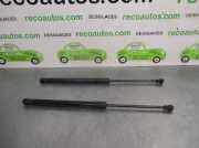 Gasdruckfedern Set Hinten 51247060622 BMW SERIE 1 BERLINA (E81/E87) 2.0 Turbodiesel CAT