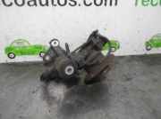 Achsschenkel Halter Links Hinten Audi A4 (B6) Limousine 2.0 FSI 16V (AWA)