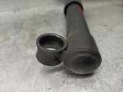 Stoßdämpfer Rechts Hinten 725836 Seat TERRA 0.9