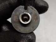 Kraftstoff-Injector 0445110252 Citroën C3 (FC/FL/FT) Schrägheck 5-drs 1.4 HDi (DV4TD(8HZ))