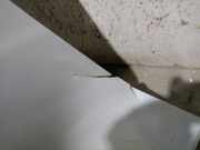 Stoßstange Hinten 8K9807067D Audi RS 4 Avant (B8) Kombi 4.2 V8 32V (CFSA)