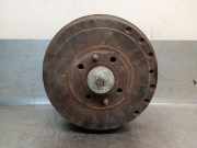 Achsschenkel Halter Links Hinten 517643 Peugeot Bipper (AA) Van 1.4 HDi (DV4TD(8HS))