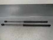 Gasdruckfedern Set Hinten 9563195680 Citroën AX Schrägheck 11 (TU1CP(HAZ))