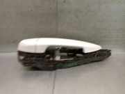 Türgriff Außen Links Vorne 51217433843 BMW X2 (F39) SUV sDrive 20i 1.5 12V TwinPower Turbo (B38-A15A)