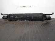 Ladeluftkühler 51785221 Fiat Linea (323AX) Limousine 1.3 D Multijet 16V VGT (199.A.3000)