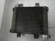 Ladeluftk?hler 0K55313550 Kia Carnival 2 (FIB/FLD) Gro?raumlimousine 2.9 HPDi 16V (J3(CRDI))