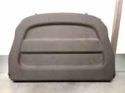 Hutablage 794200020R Renault Megane III Coupe (DZ) Schrägheck 3-drs 1.9 dCi (F9Q-872(F9Q-P8))