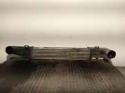 Ladeluftkühler A2105001400 Mercedes-Benz CLASE E (W210) BERLINA 2.6 CAT