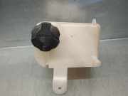 Ausgleichbehälter - - 254301P000 Hyundai iX20 (JC) SUV 1.4 CRDi 16V (D4FC)