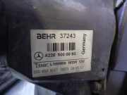 Kühlerventilator A2205000093 Mercedes-Benz S (W220) Limousine 4.3 S-430 V8 24V (M113.941)