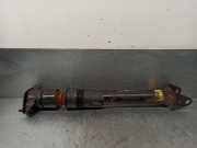Stoßdämpfer Links Hinten A2513200631 Mercedes-Benz CLASE 3.0 CDI CAT