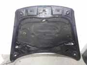 Motorhaube 7L6823031D Volkswagen Touareg (7LA/7L6) SUV 5.0 TDI V10 (AYH) AYH