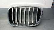 Grill 51137478669 BMW X3 (G01) SUV xDrive 20d 2.0 TwinPower 16V Mild Hybrid (B47-D20B)