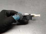 Gasdruckfeder Set Vorne 654704175R Dacia 1.6 CAT (bivalent. Gasolina / GPL)