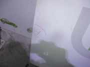 Motorhaube BLANCOROTULADO Peugeot Expert (222/224) Van 2.0 HDi 90 (DW10TED(RHX))