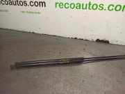 Gasdruckfedern Set Hinten 9630662480 Peugeot 406 (8B) Limousine 2.0 HDi 110 (DW10ATED(RHZ))