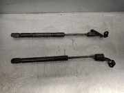 Gasdruckfeder Set Vorne 51234881653 BMW 5 serie Touring (F11) Kombi 520d 16V (N47-D20C)