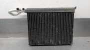 Klima Verdampfer 64116806555 BMW X5 (E70) SUV xDrive 30d 3.0 24V (M57N2-D30(306D3))