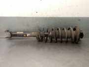 StoÃŸdÃ¤mpfer Links Hinten 96943787 Daewoo / Chevrolet Epica Limousine 2.0 D 16V (Z20S)