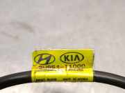 Antenne 2W95411000 Hyundai Santa Fe III (DM) SUV 2.2 CRDi R 16V 4x2 (D4HB)