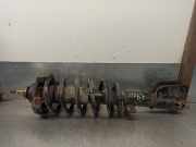 Stoßdämpfer Links Vorne 8200212633A Renault TRAFIC CAJA CERRADA (AB 4.01) 2.5 dCi Diesel CAT