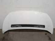Motorhaube 7901N1 Peugeot Expert (G9) Van 1.6 HDi 90 (DV6UC(9HM))