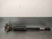Stoßdämpfer Links Hinten 51936082 Fiat 500L (199) Großraumlimousine 1.3 D 16V Multijet Euro 5 (199.B.4000)