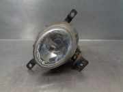 Nebelscheinwerfer Links Vorne 9220139500 Hyundai XG Limousine 3.5 V6 24V (G6CU)