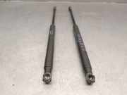 Gasdruckfedern Set Hinten 51794232 Ford Ka II Schrägheck 1.3 TDCi 16V (169.A.1000)