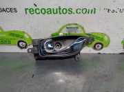 T?rgriff Innen Links Hinten 80671JY Renault 2.0 dCi Diesel FAP