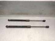 Gasdruckfedern Set Hinten 81781G5000 Kia Niro I (DE) SUV 1.6 GDI Hybrid (G4LE)