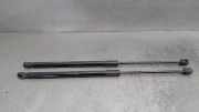 Gasdruckfedern Set Hinten 8P4827552B Audi A3 Sportback (8PA) Schrägheck 5-drs 2.0 TDI 16V (CBAB)